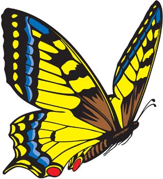 Download Butterfly Vector 3 Free