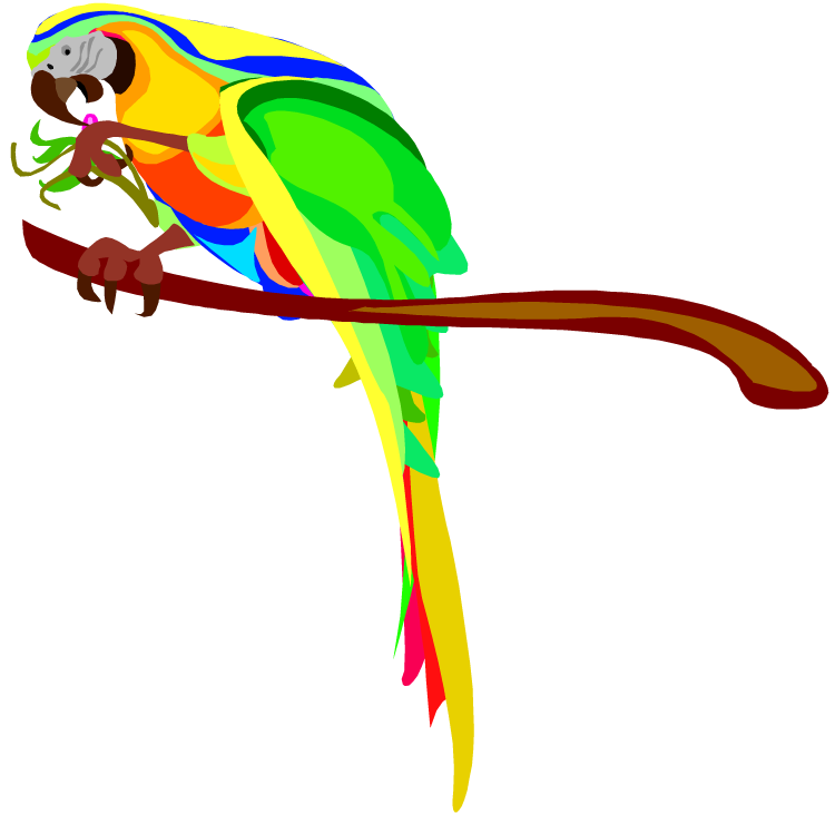 Free Parrot and Macaw Clipart