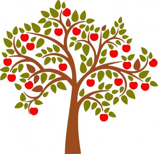 Fruit Tree With Roots Clipart