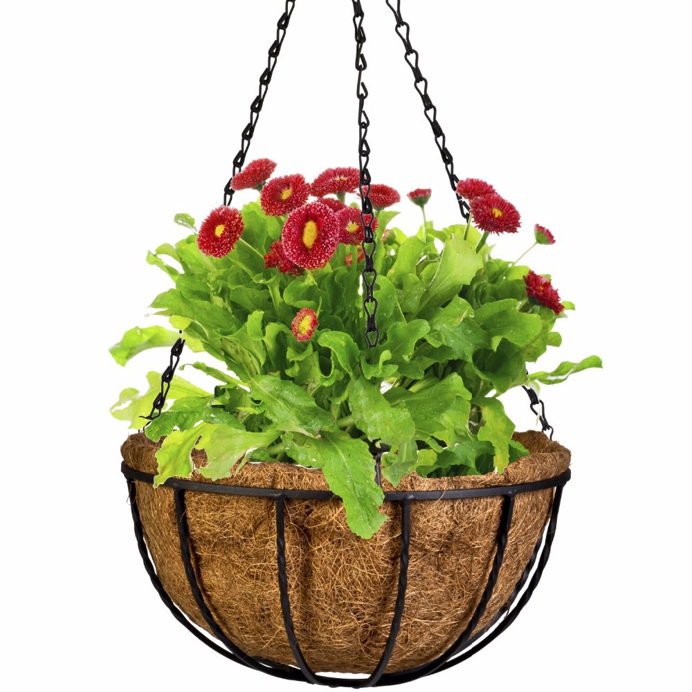 Popular Window Flowers Baskets-Buy Cheap Window Flowers Baskets ...