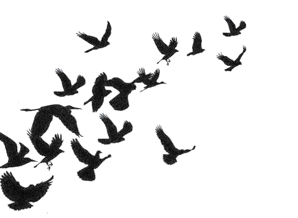 Bird Silhouette Tattoo Ankle - ClipArt Best