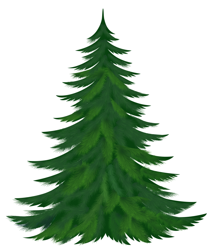 Pine trees clipart