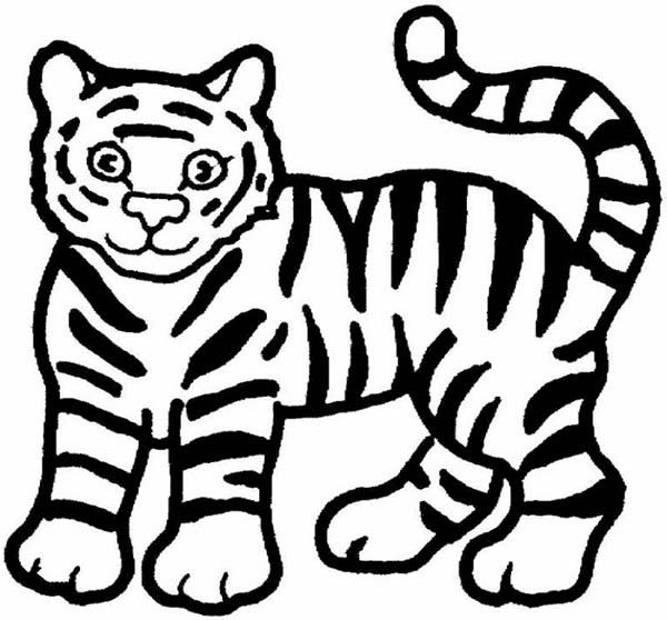 Simple coloring pages draw a tiger a cute cartoon drawing of tiger ... -  ClipArt Best - ClipArt Best