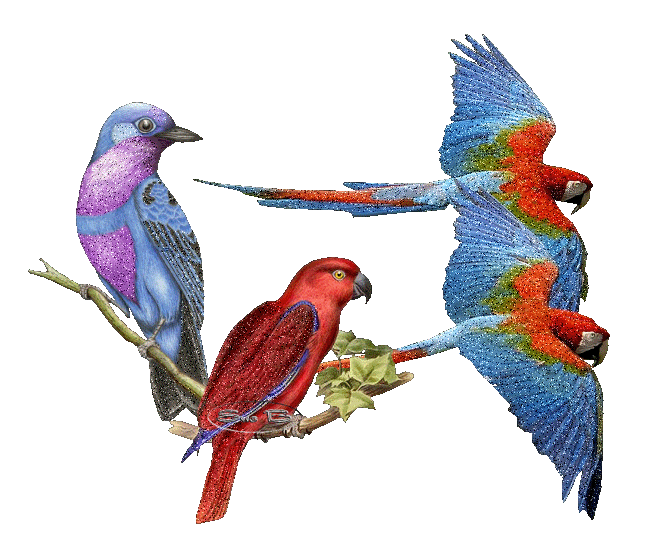 Bird Animation Gif - ClipArt Best Bird Animation Gif - ClipArt Best