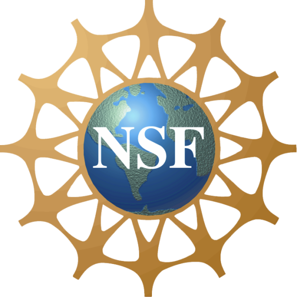 File:NSF Logo.PNG