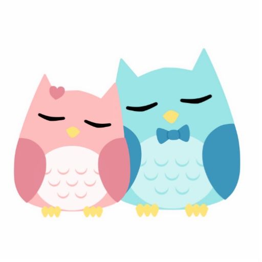 Cute cartoon, Owl and Cartoon owls