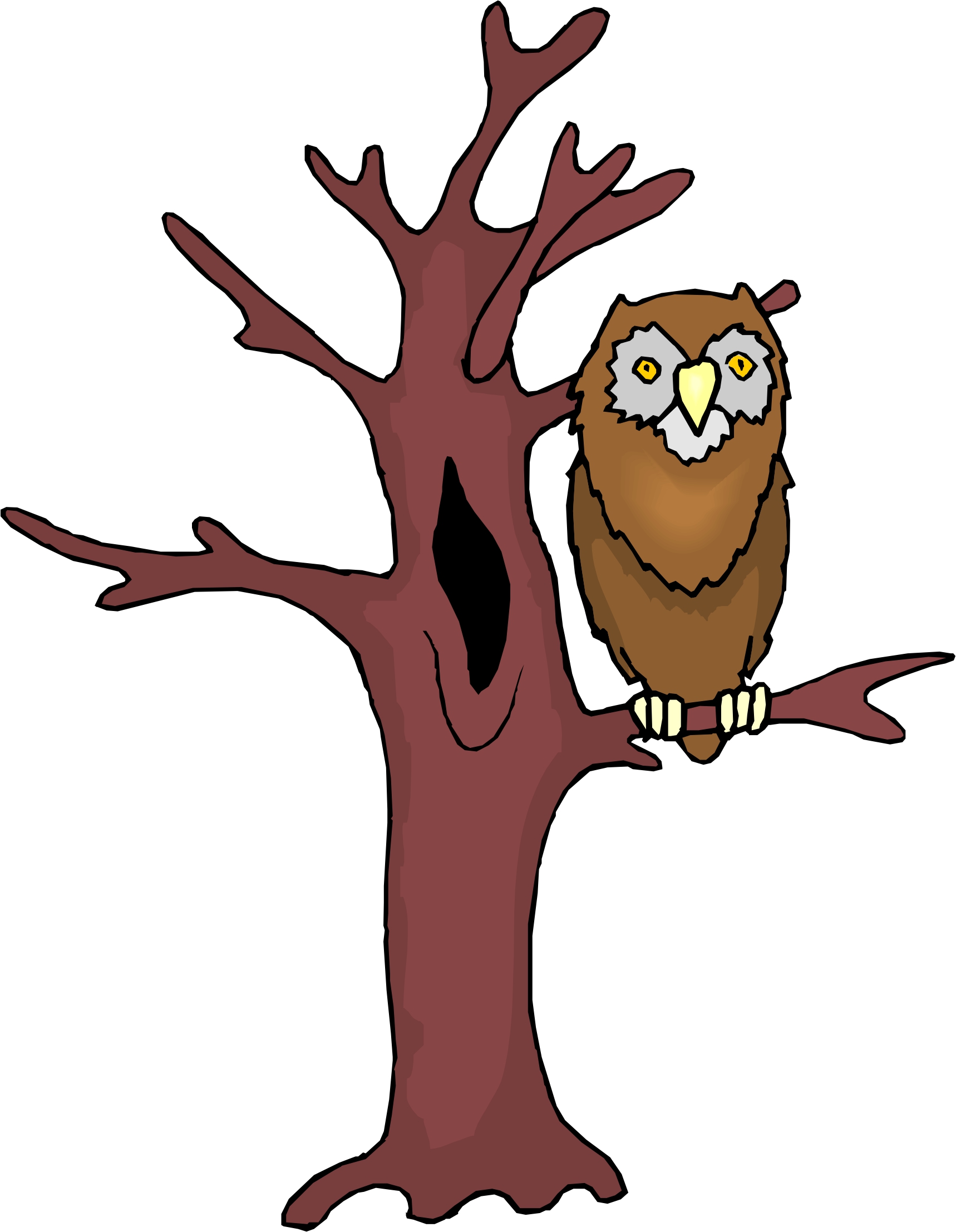 Cartoon Owl On Tree | Chainimage