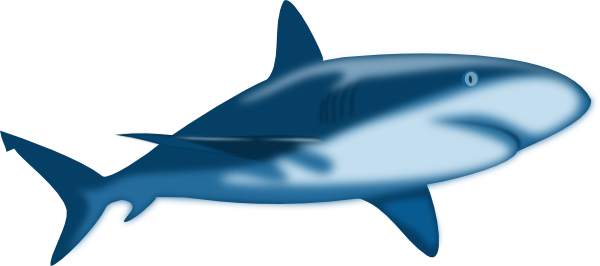 Great White Shark Cartoon