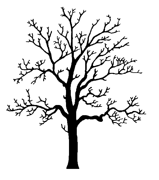 Oak Tree Silhouette Clip Art Pictures