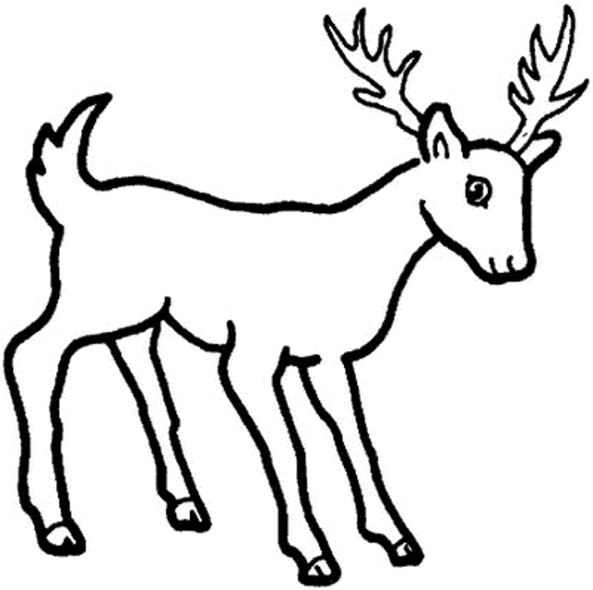 4 Best Images of Family Deer Sketches Printable - Deer Hunting ...
