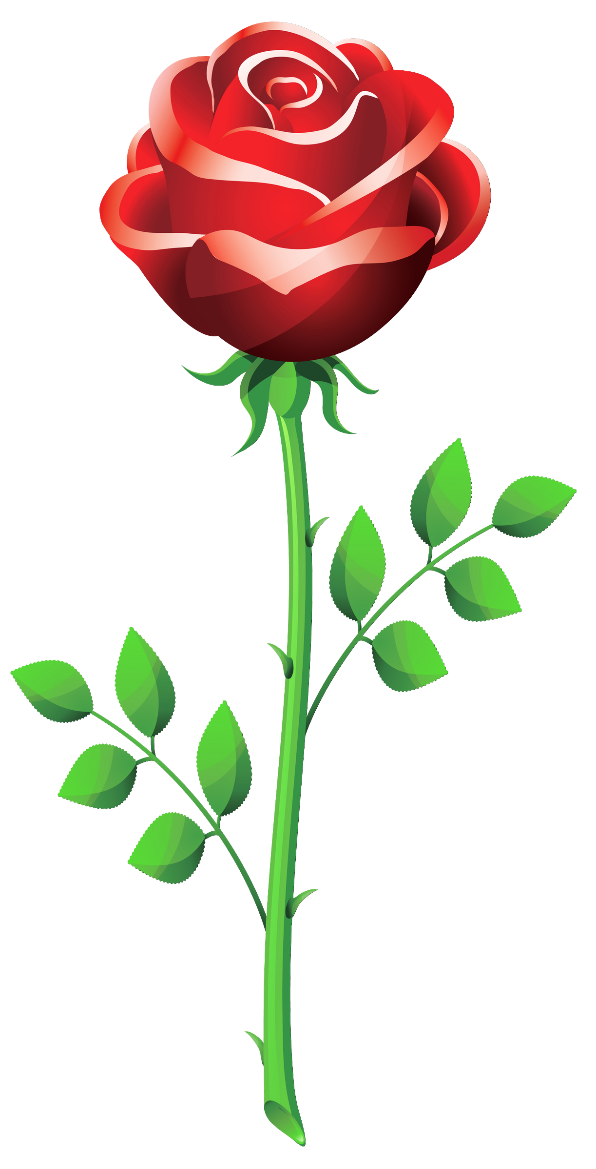 Roses Clip Art ClipArt Best