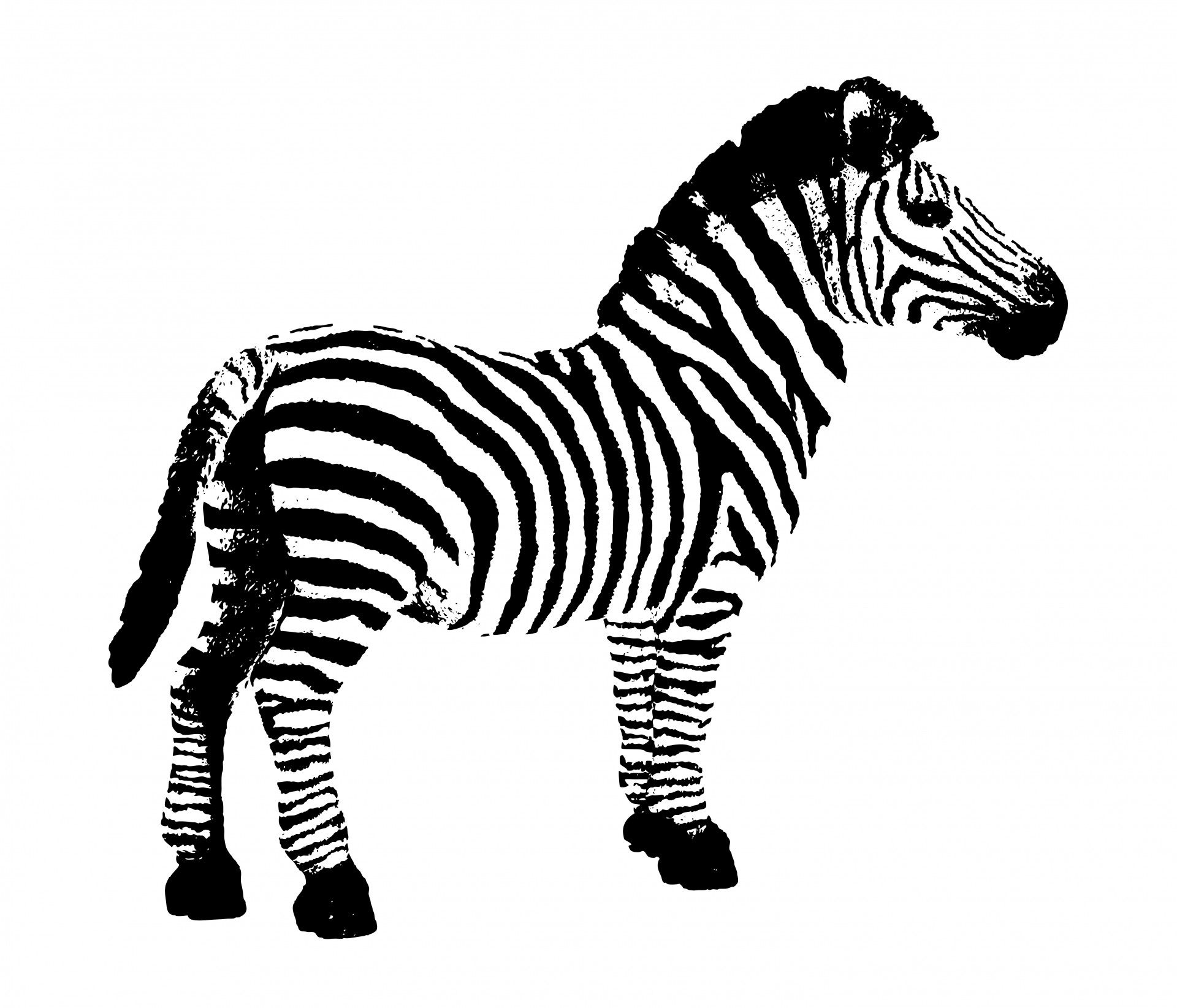 zebra clipart without background