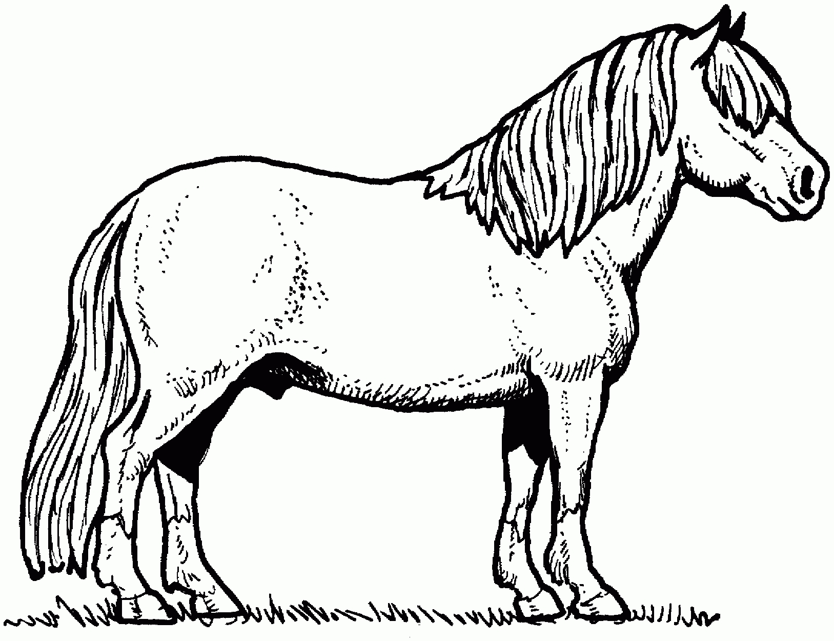 Horse Head Coloring Pages Printable Dog And Cat Coloring Page ...