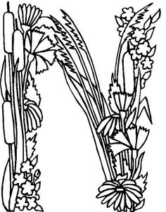 Coloring, Free printable coloring pages and Flower