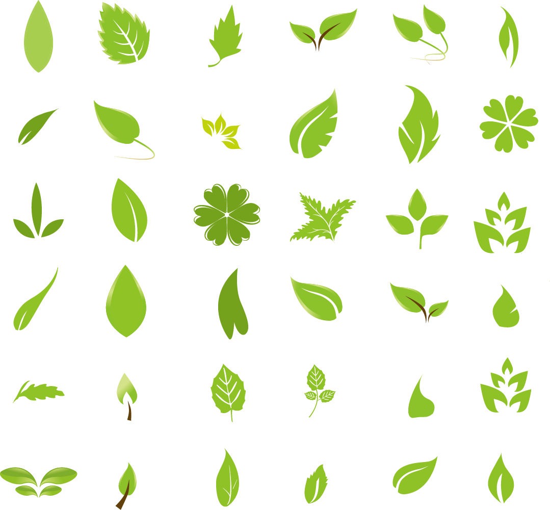 Green Leaves Clipart