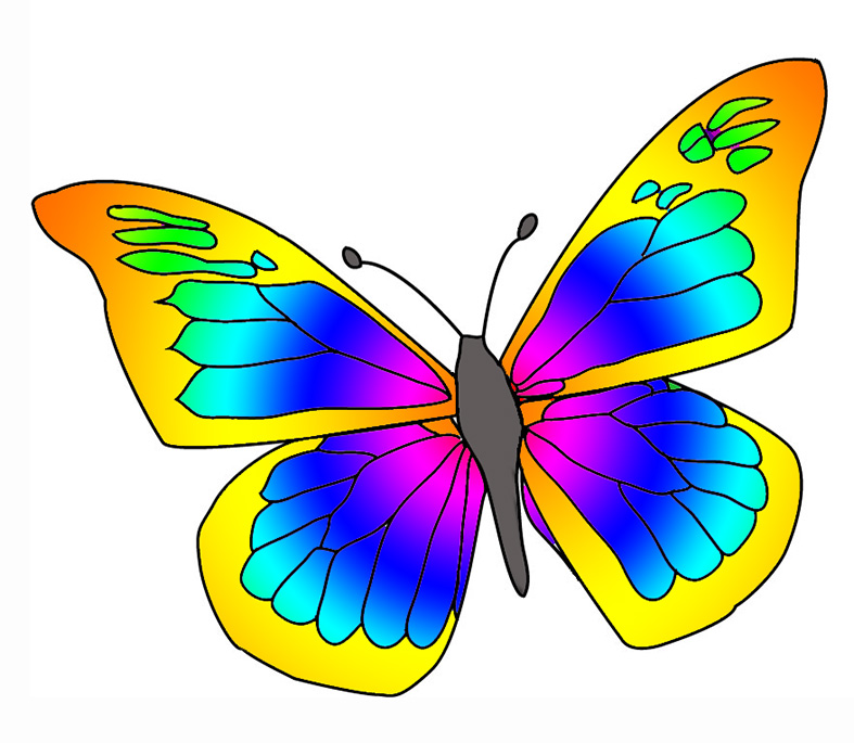 Clipart butterflies