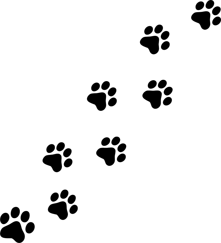 Animal paw prints clipart