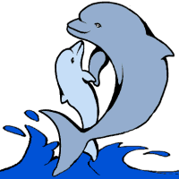 Dolphin Clipart Images