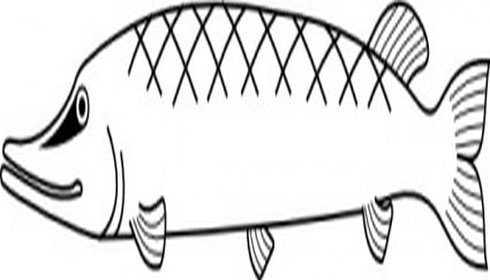 Fish Outline Clip Art 2 | Free Vector Download - Graphics,