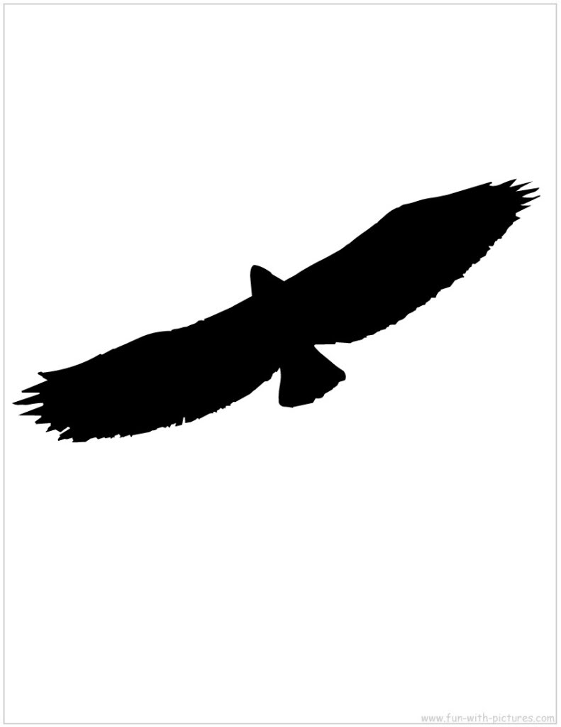 flying-eagle-silhouette.jpg Photo by mnarocks