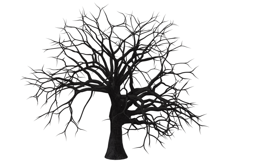 DeviantArt: More Like Dead Tree PNg Stock by Andrei-Oprinca