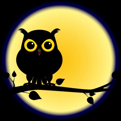 Night Owl Clipart