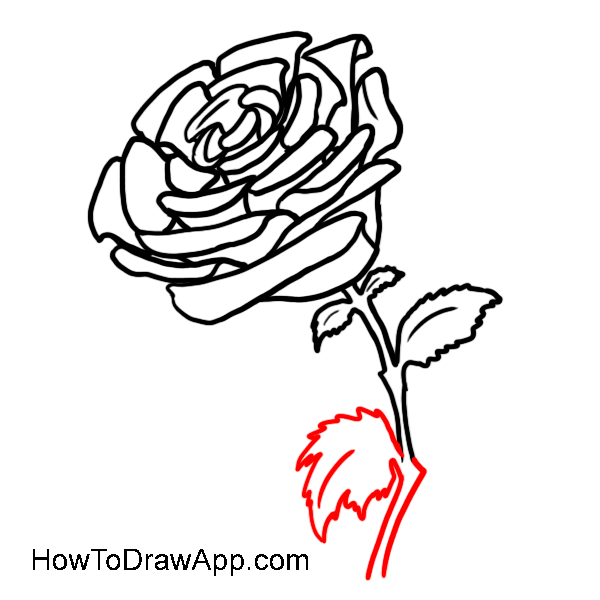 Learn how to draw a rose step-by-step. Easy drawing lessons for ...