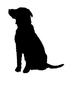 Sitting Golden Retriever Silhouette