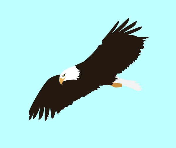 Soaring Eagle Clip Art - vector clip art online ...
