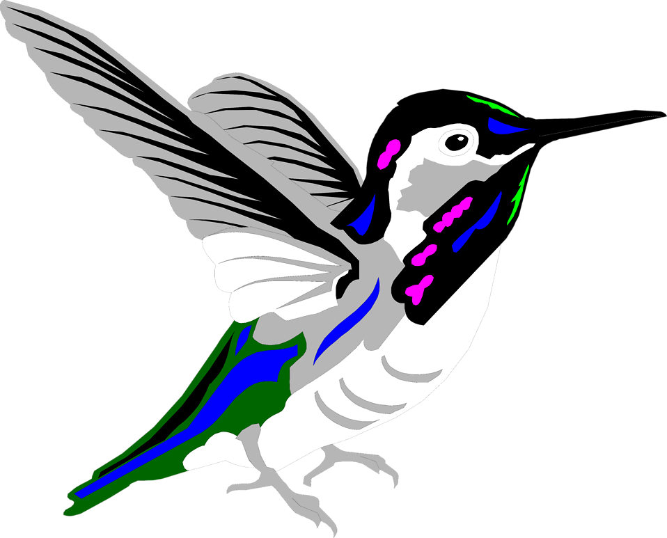 Hummingbird Illustrations | Free Download Clip Art | Free Clip Art ...
