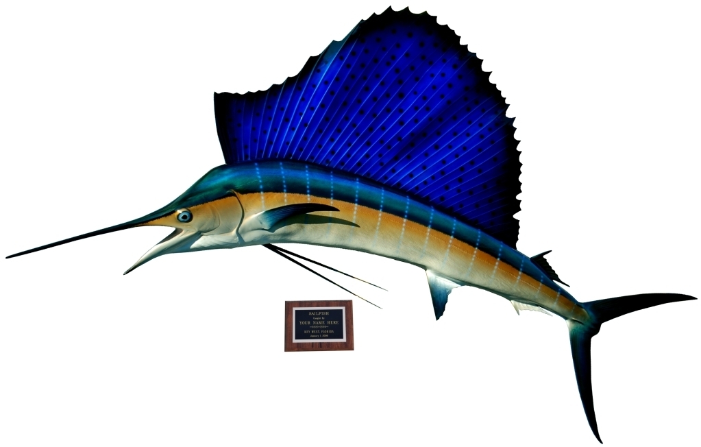 Sail Fish - ClipArt Best