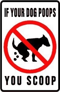 1000+ images about Dog poop signs