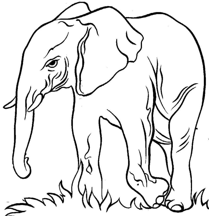 Line Drawing Elephant Clipart - Free to use Clip Art Resource