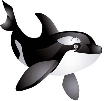 Download Killer whale 2 Vector Free