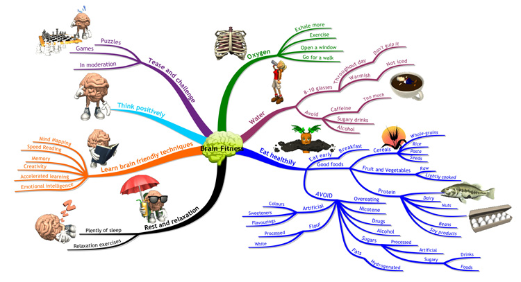 Body Organ Map Biology Diagrams