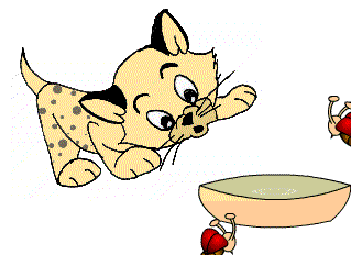 General Animated Clipart: cat : Classroom Clipart