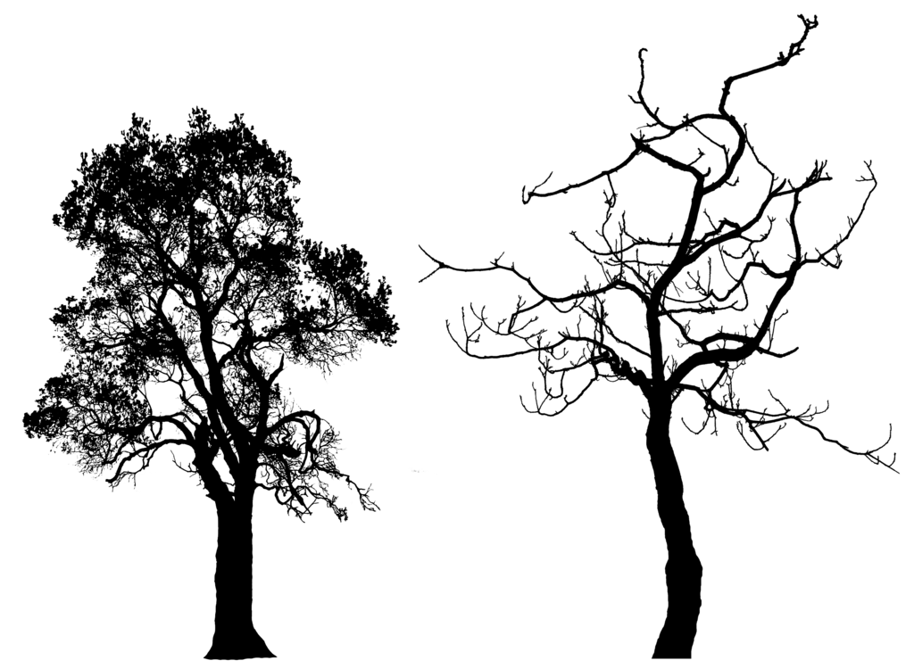 clip art tree silhouette - photo #24
