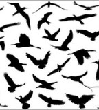flying-bird-silhouette-tattoo- ...