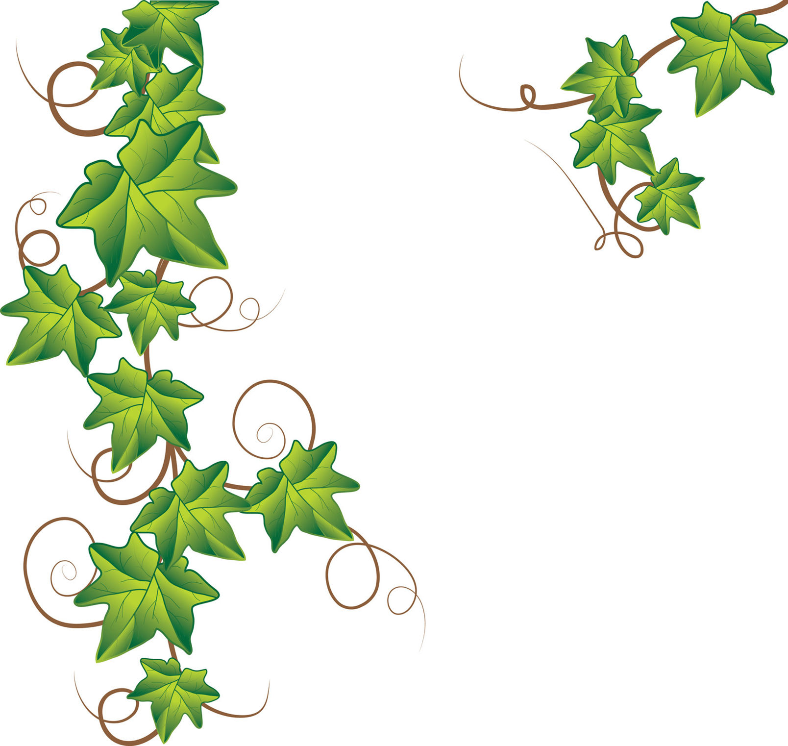 Leaf Border Clip Art