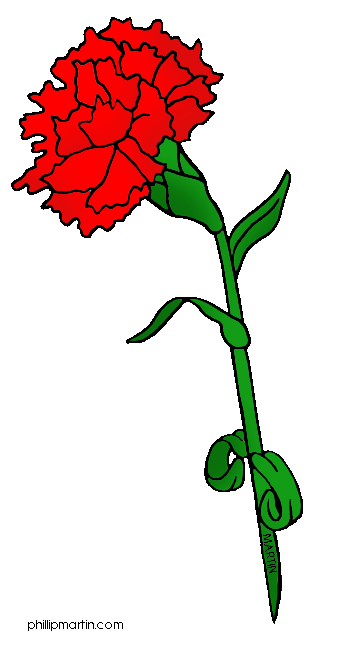 Carnation Clipart - Tumundografico