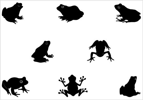 Vector graphics, Frogs and Silhouette