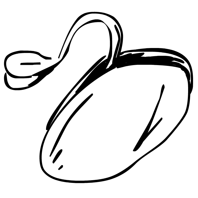 Bean Clip Art