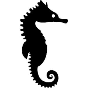 Pics For > Seahorse Png