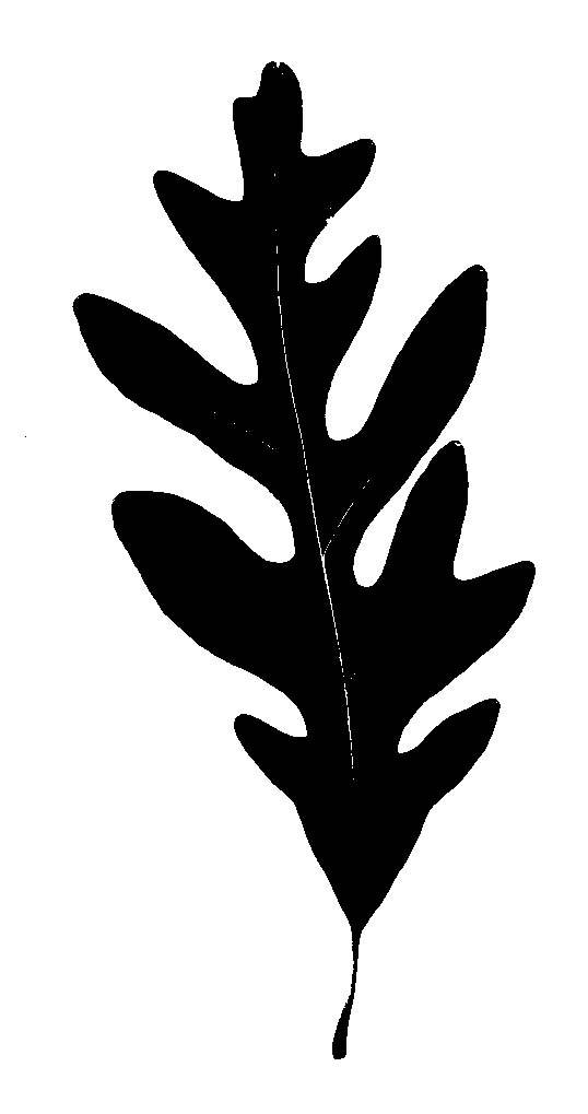 clip art oak leaf silhouette - photo #3