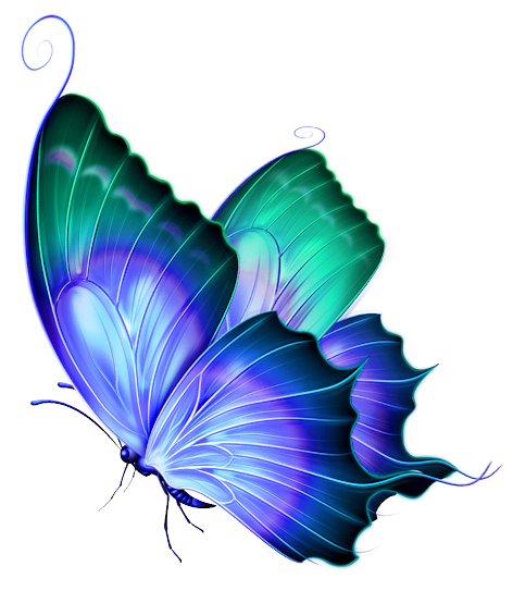 Butterfly Png - Free Icons and PNG Backgrounds