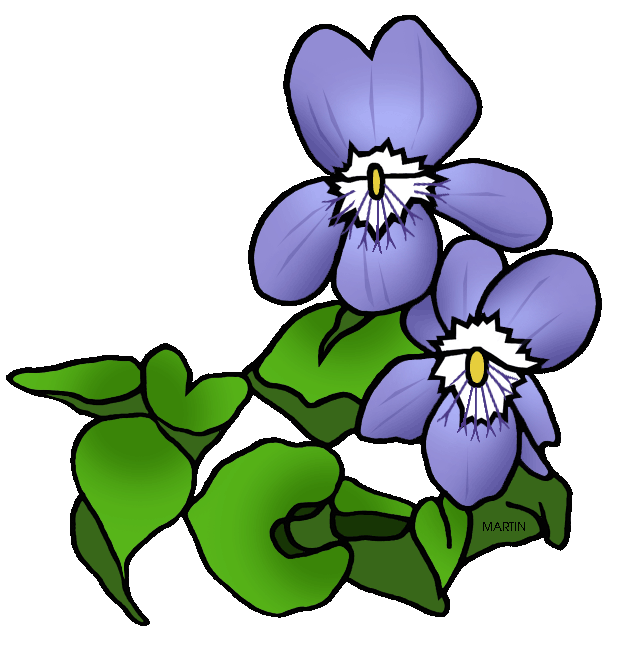 Free United States Clip Art by Phillip Martin, State Flower of ...