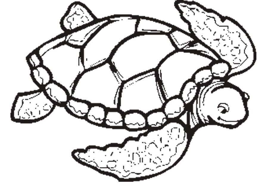 Free Sea Turtle Coloring Pages To Download And Print For Free ...