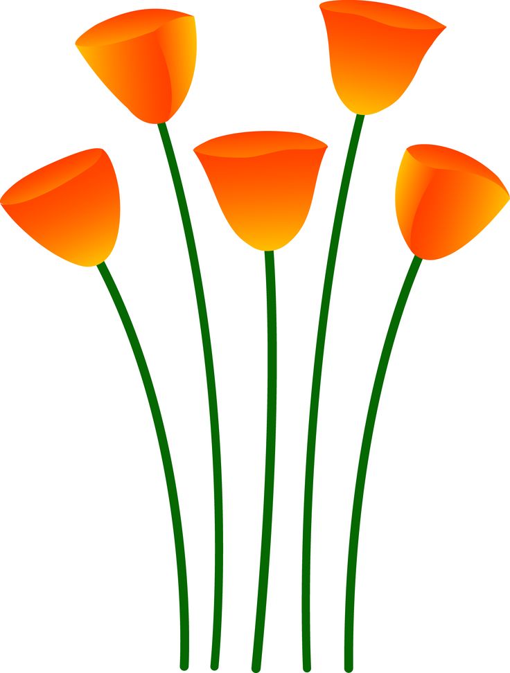 Poppy Flower Clipart
