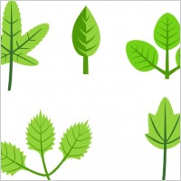 Vines Grass clip art Vector clip art - Free vector for free download