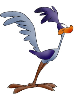 Albuquerque Homes and Lifestyle Blog: Beep Beep Roadrunner!